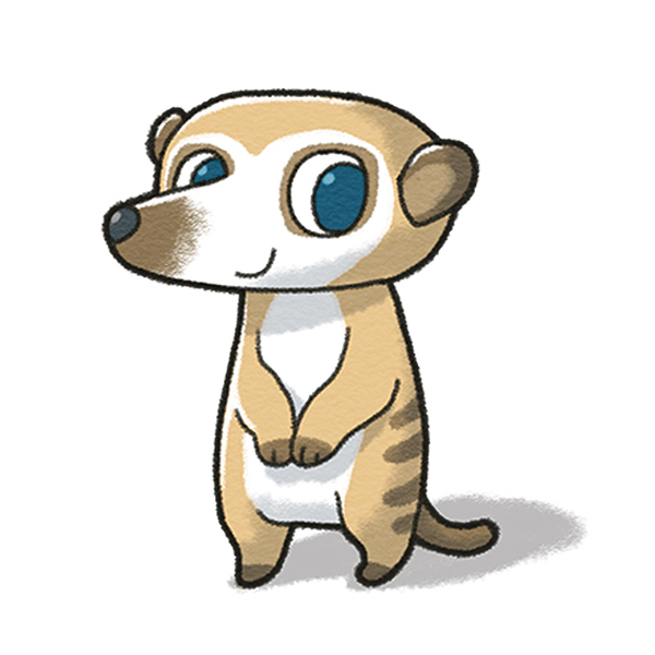 �x�W�i�R���c